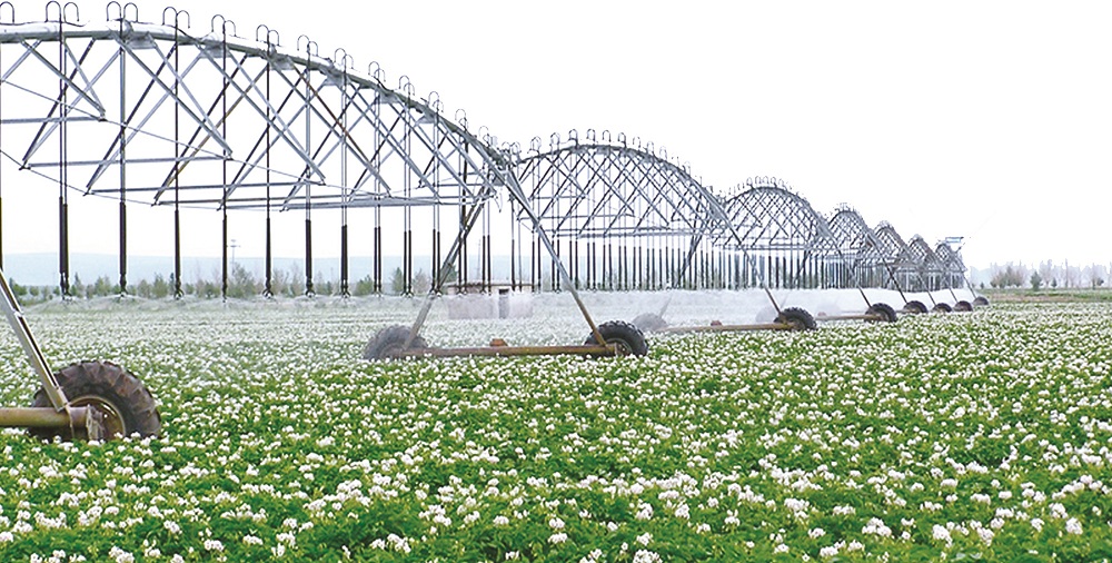敖漢旗2016年小型農田水利設施建設項目（含李家營子片區）施工招標竣工后